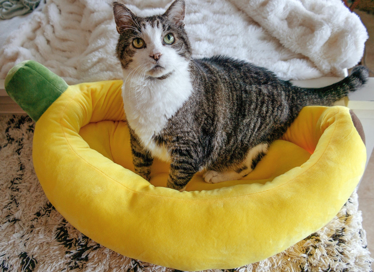 Skorter | Banana Cat Bed