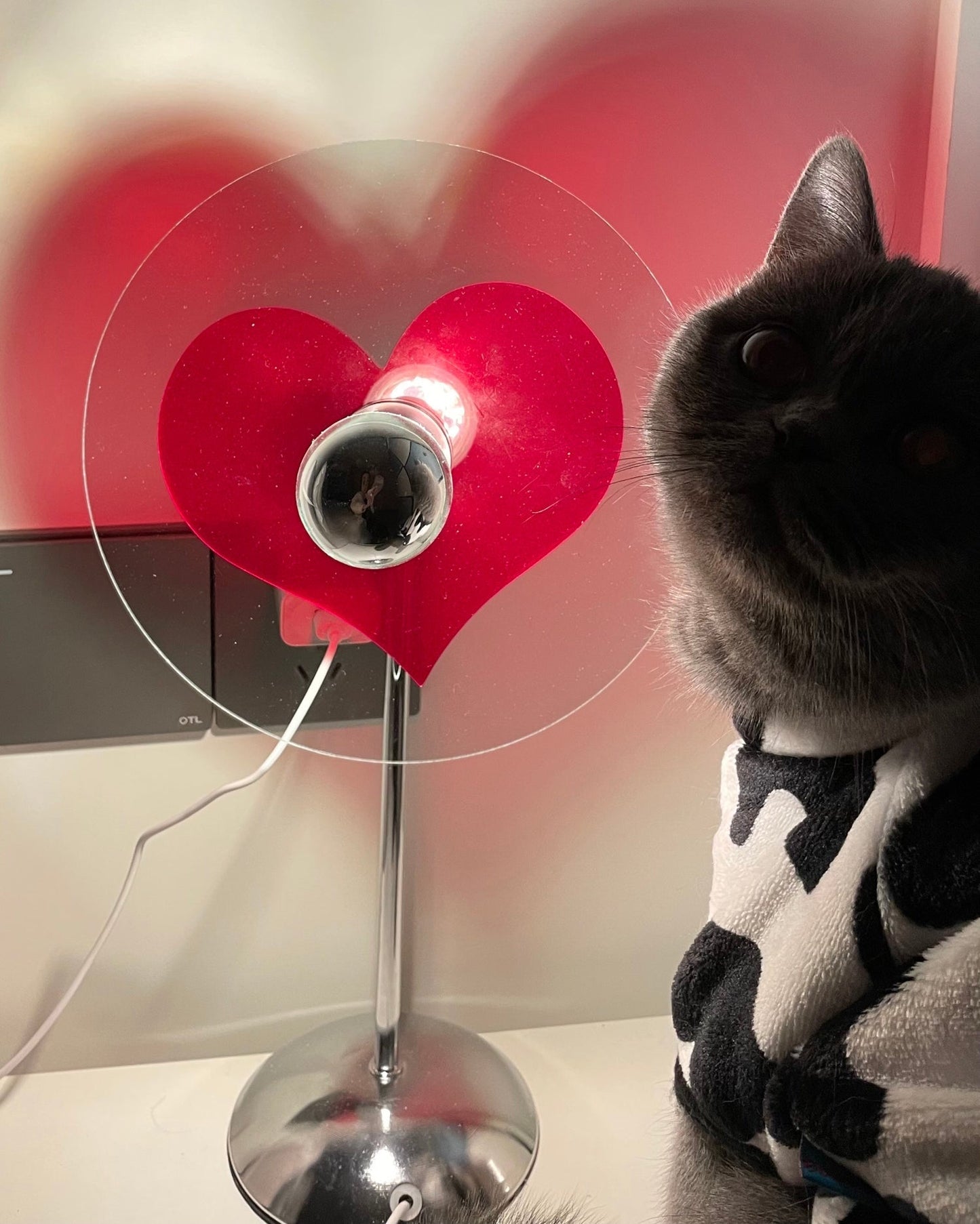 Skorter | LoveGlow – Elegant Table Lamp with Rechargeable LED