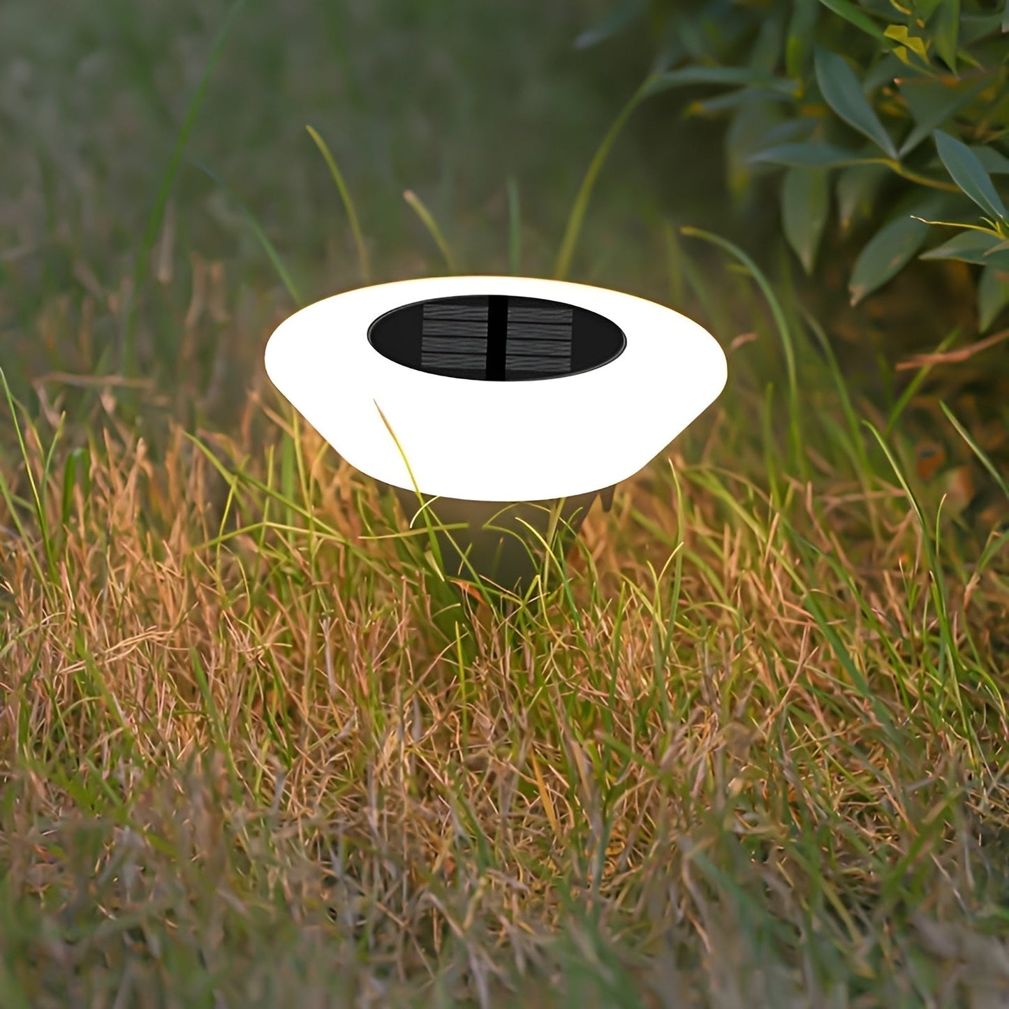 Skorter | LED Solar Outdoor Lamp | Weatherproof, Easy Installation & Ideal for Garden and Patio Lighting