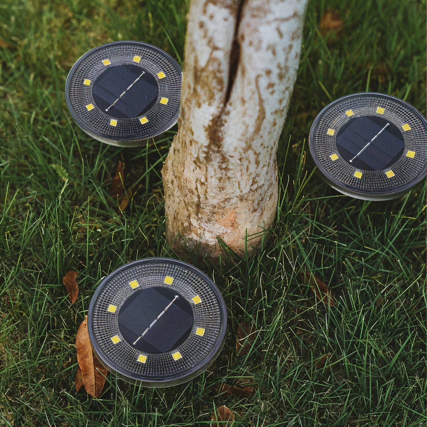 Skorter | SunSparkle - 2-Pack LED Solar Outdoor Lighting