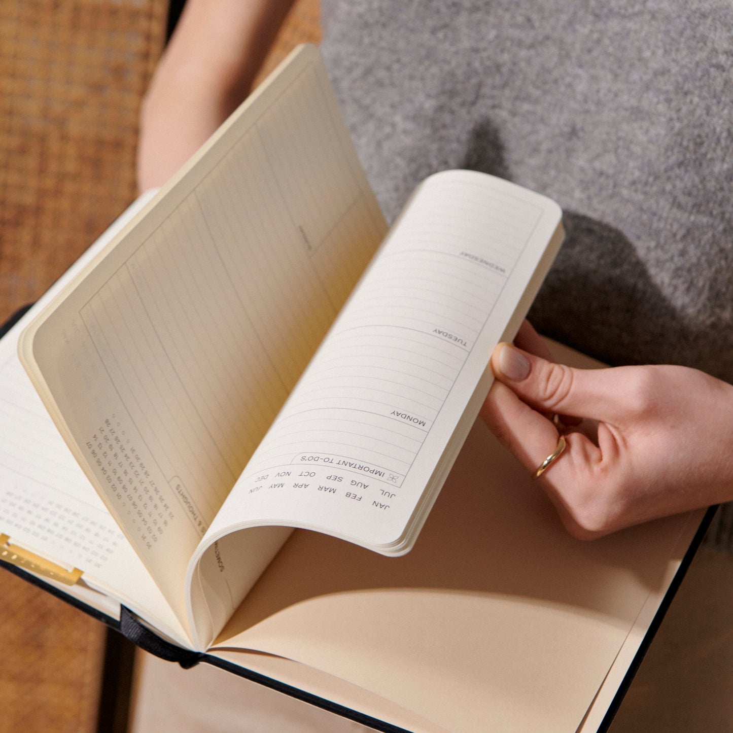 Skorter | Bandida - Infinity Planner