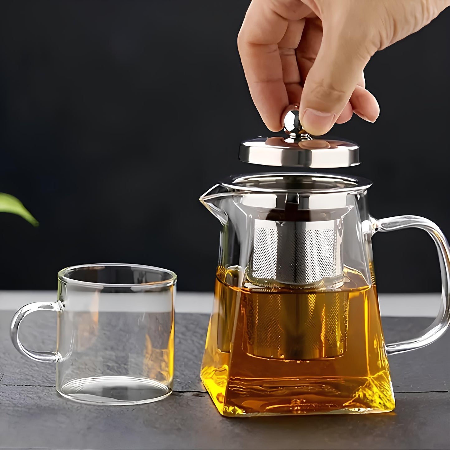 Skorter infuser in borosilicate glass