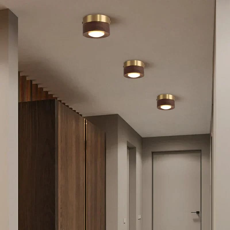 Skorter | Versatile LED lighting with walnut finish