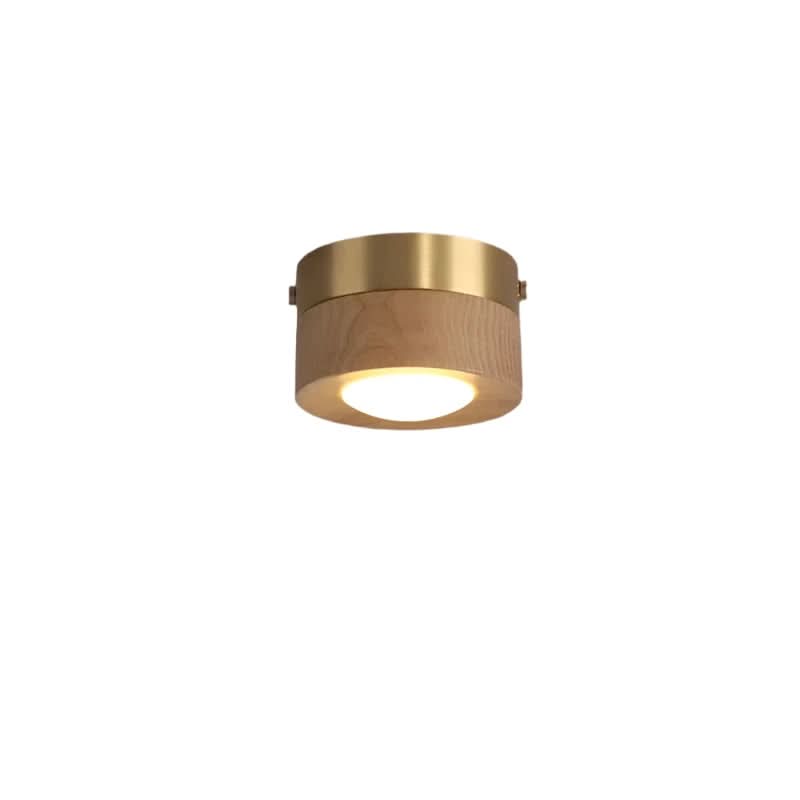 Skorter | Versatile LED lighting with walnut finish