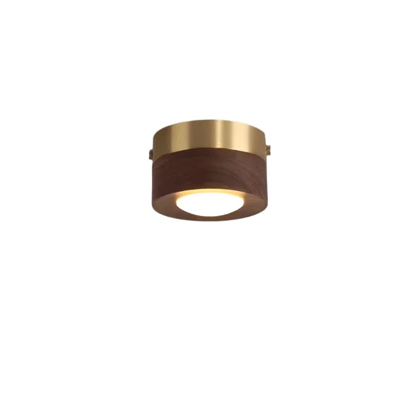 Skorter | Versatile LED lighting with walnut finish