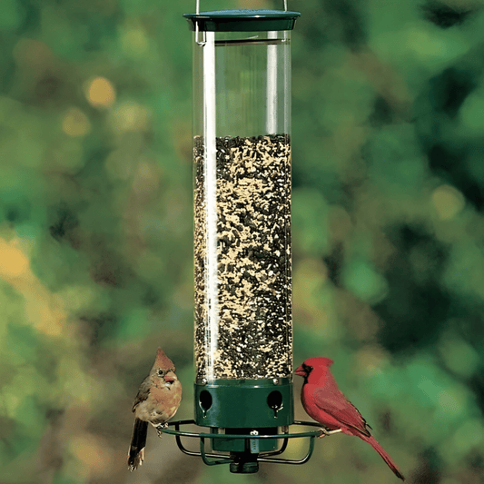 Skorter | Squirrel-Proof Birdhouse with weight-controlled feeder