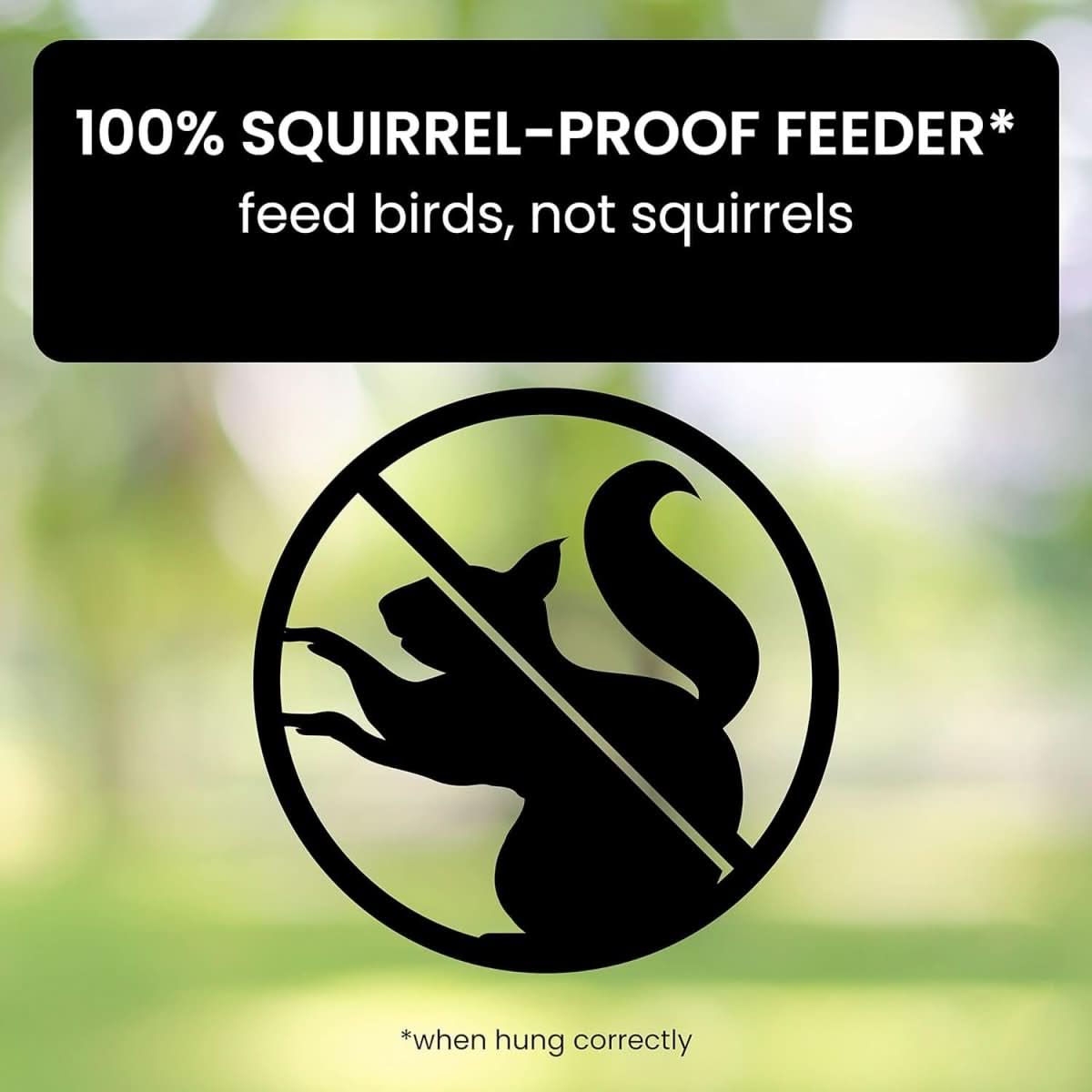Skorter | Squirrel-Proof Birdhouse with weight-controlled feeder