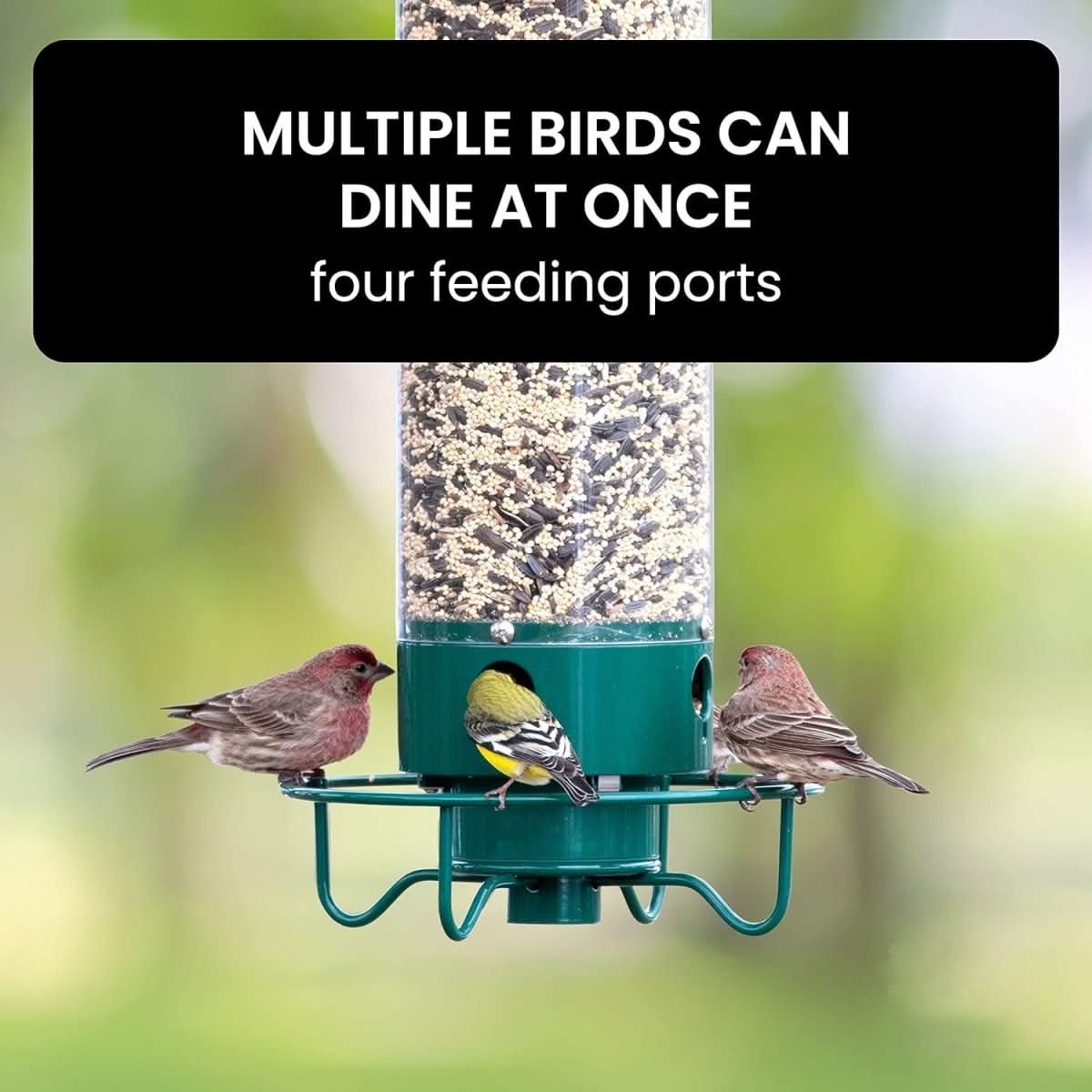 Skorter | Squirrel-Proof Birdhouse with weight-controlled feeder