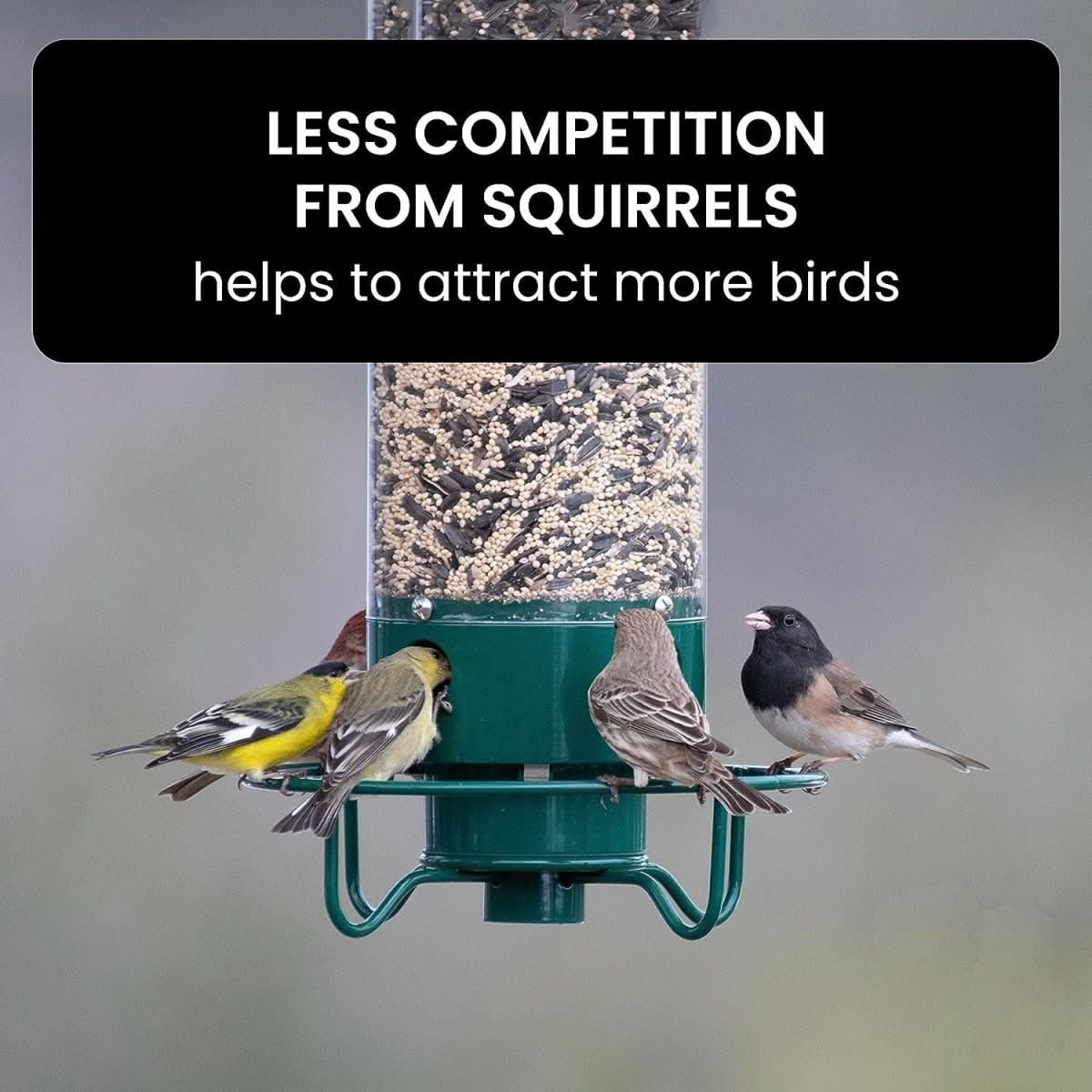Skorter | Squirrel-Proof Birdhouse with weight-controlled feeder