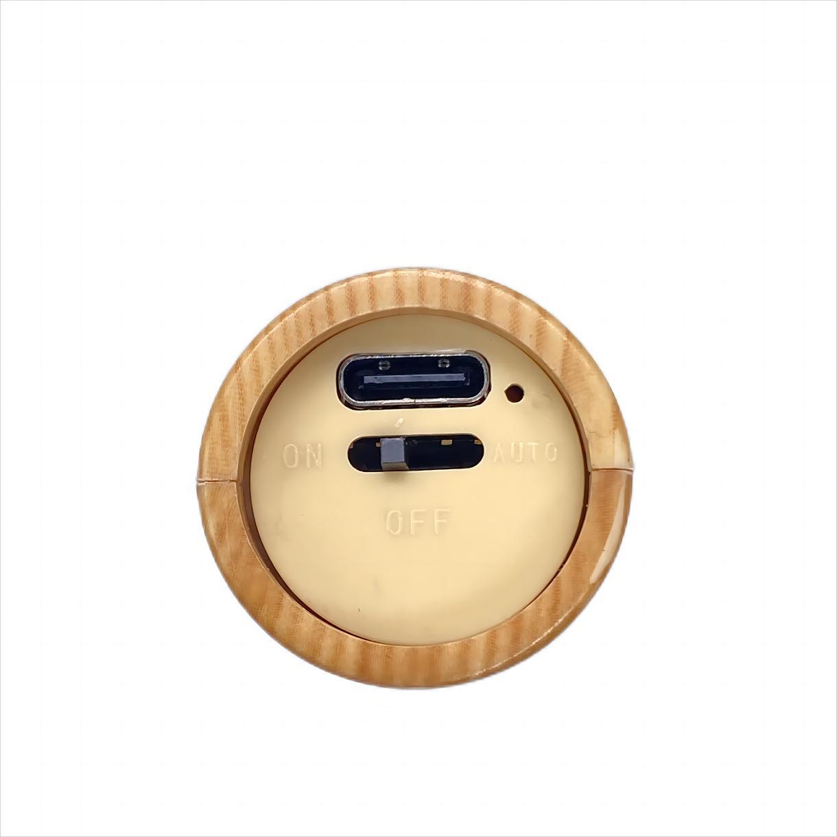 Skorter | Removable Wall Lamp