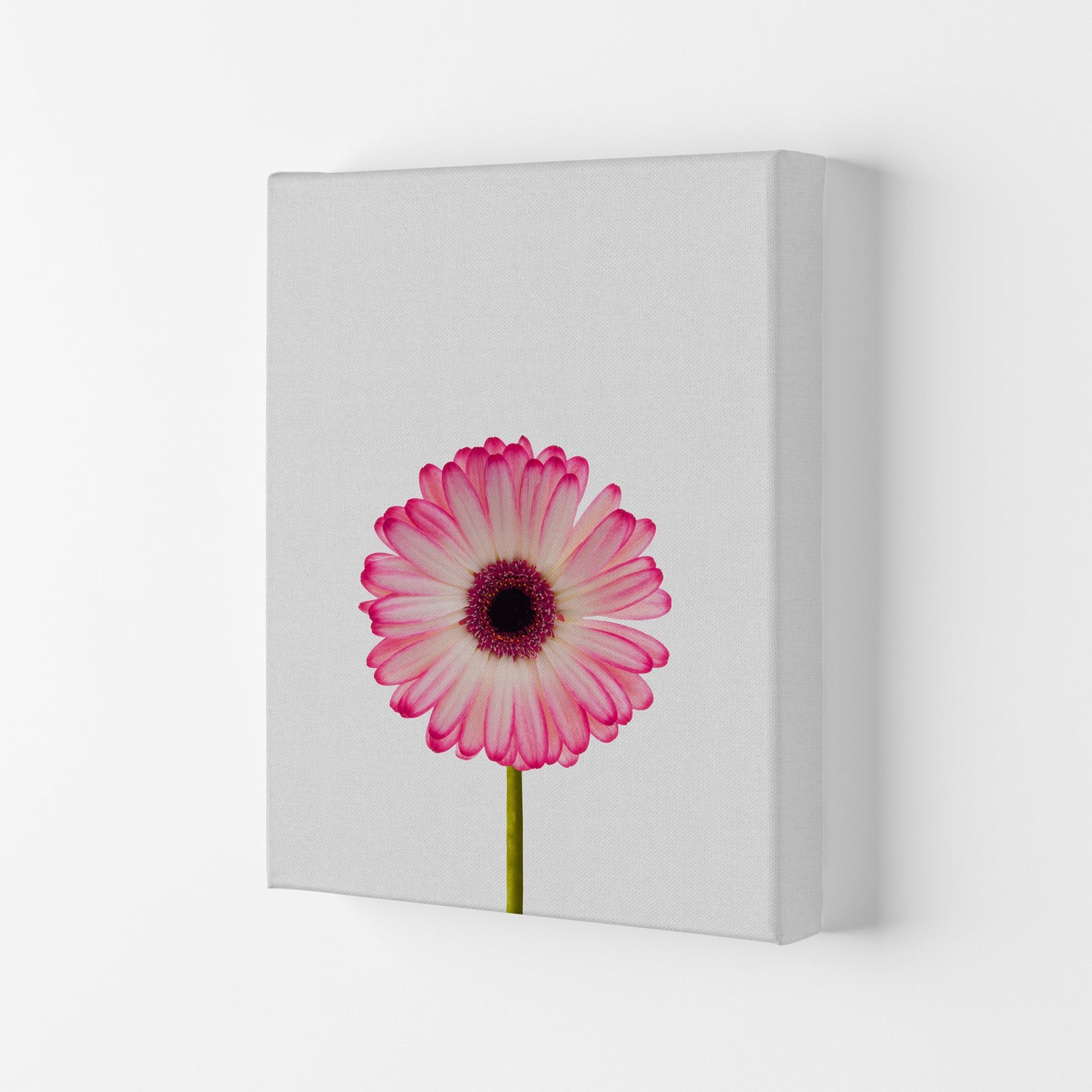 Skorter | Daisy Still Life Print By Orara Studio, Framed Botanical & Nature Art Print