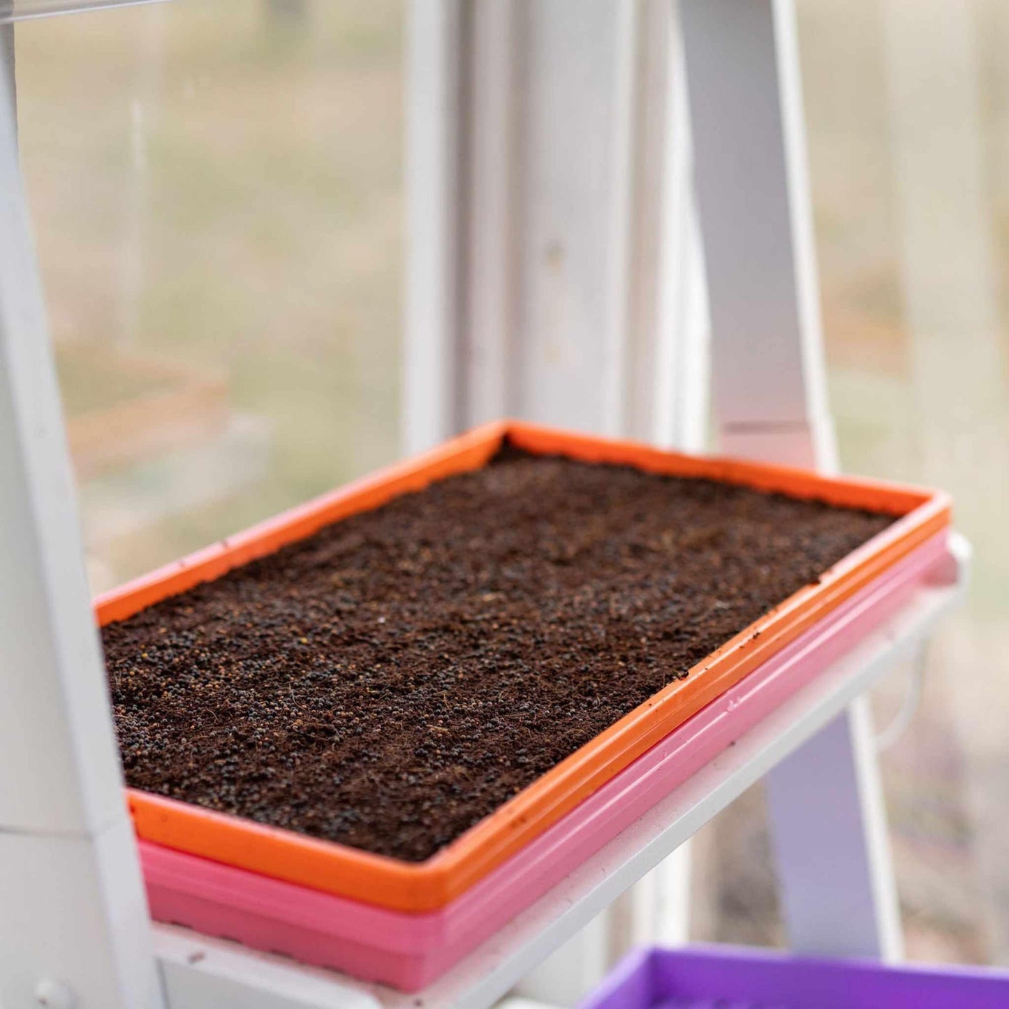 Skorter | 1020 Microgreen Tray Shallow Extra Strength