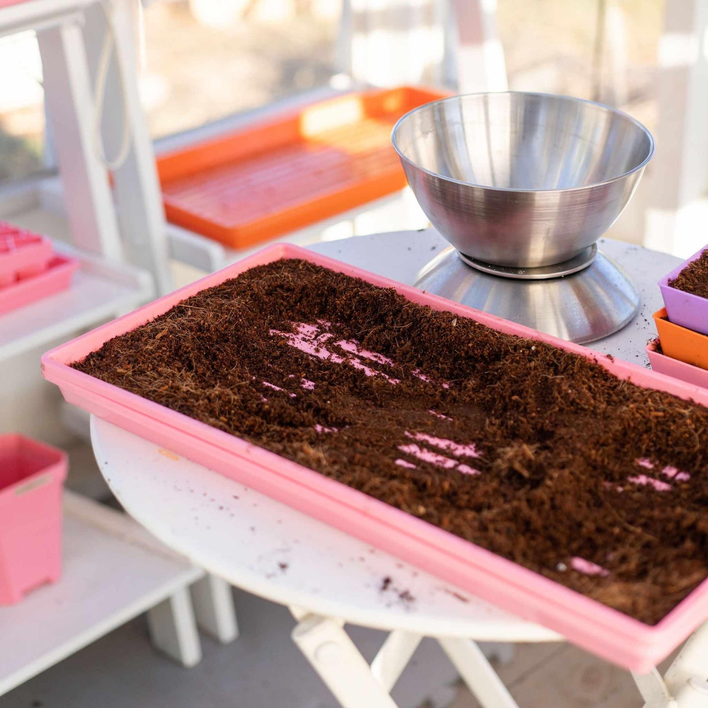 Skorter | 1020 Microgreen Tray Shallow Extra Strength