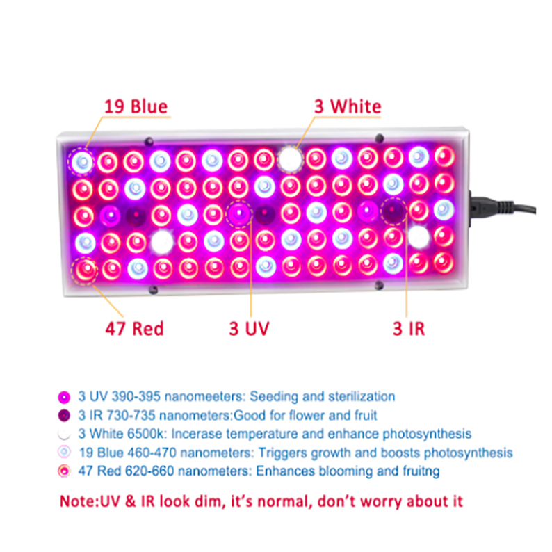 Skorter | Plant wax lamps LED plant light
