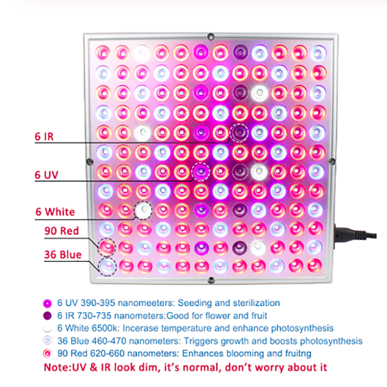 Skorter | Plant wax lamps LED plant light