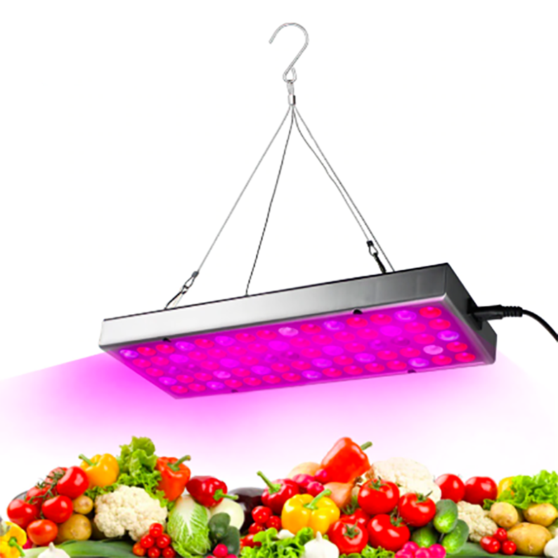 Skorter | Plant wax lamps LED plant light