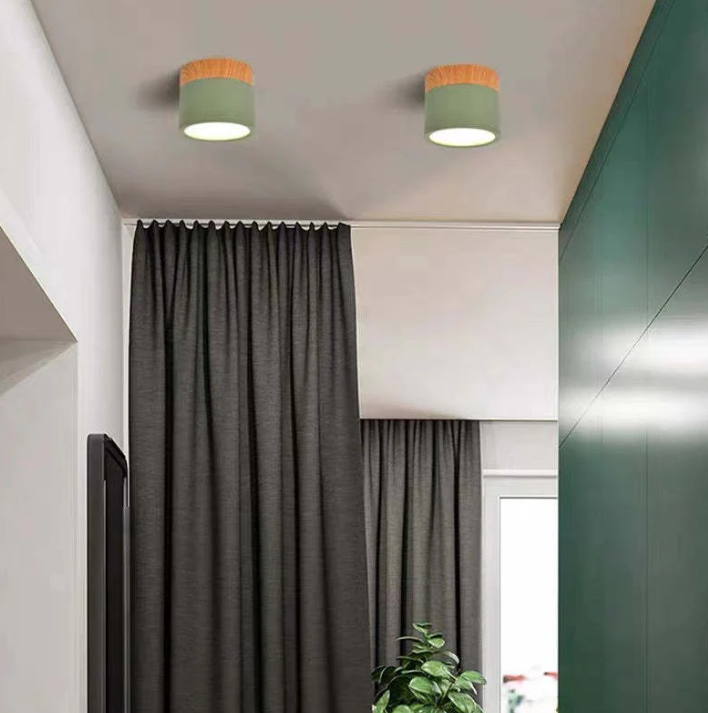 Skorter | Morandi-inspired Modern LED ceiling lamp