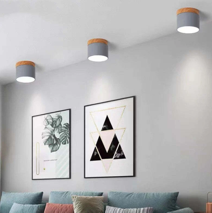 Skorter | Morandi-inspired Modern LED ceiling lamp