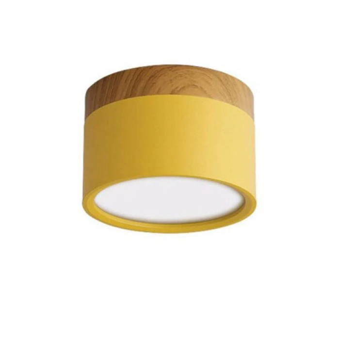 Skorter | Morandi-inspired Modern LED ceiling lamp