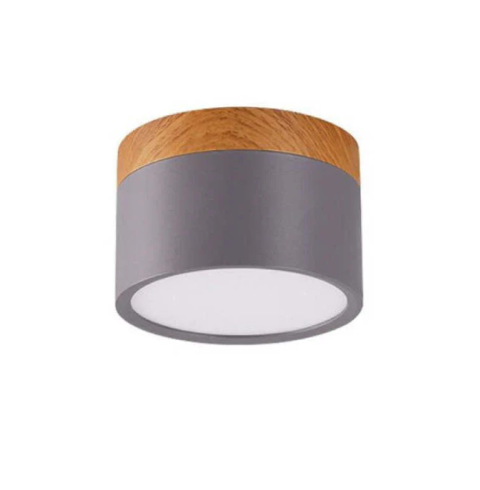 Skorter | Morandi-inspired Modern LED ceiling lamp