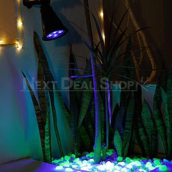 Skorter | Solar-powered LED Blacklight