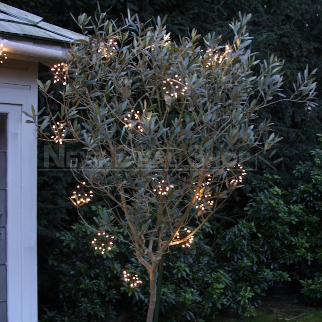 Skorter | Starburst LED Light Chain
