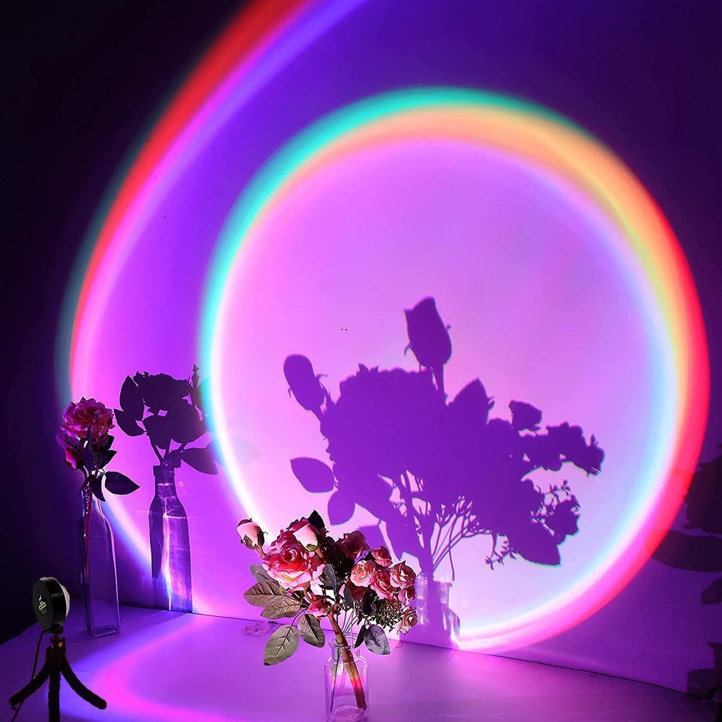 Skorter | SUNSET LAMP