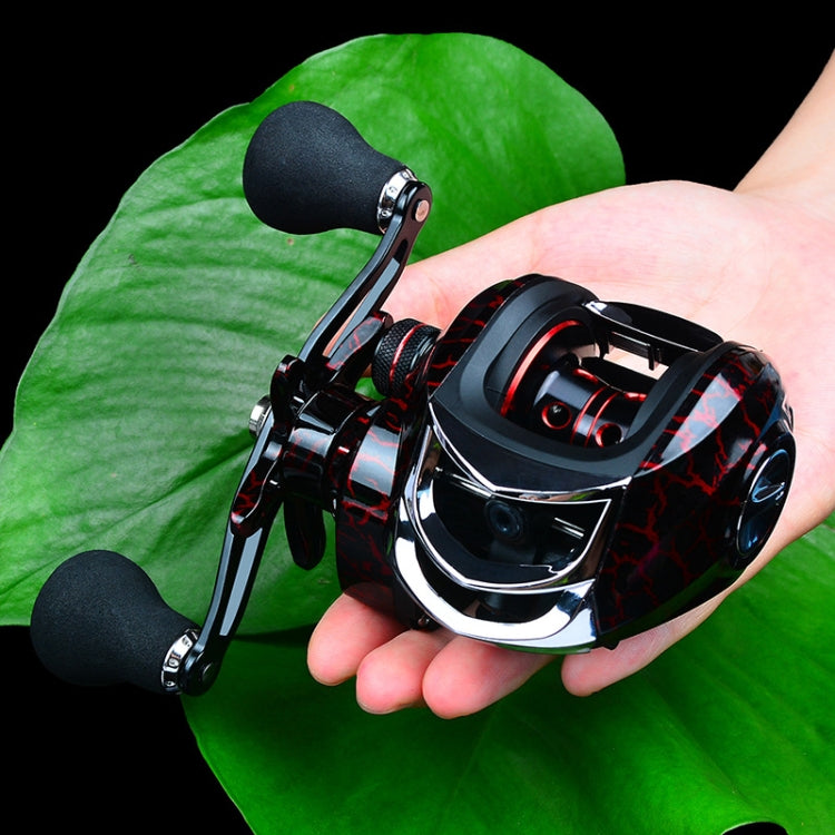 Skorter | PROBEROS Metal Drop Wheel 18+1 Axis Axis Asian Fish Wheel(DW121R Right Hand)