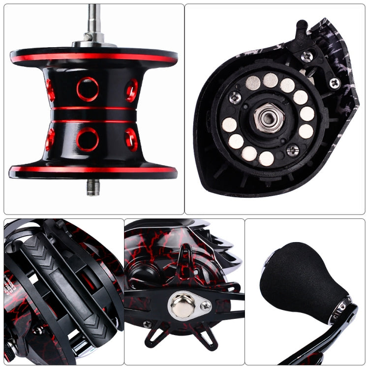 Skorter | PROBEROS Metal Drop Wheel 18+1 Axis Axis Asian Fish Wheel(DW121R Right Hand)