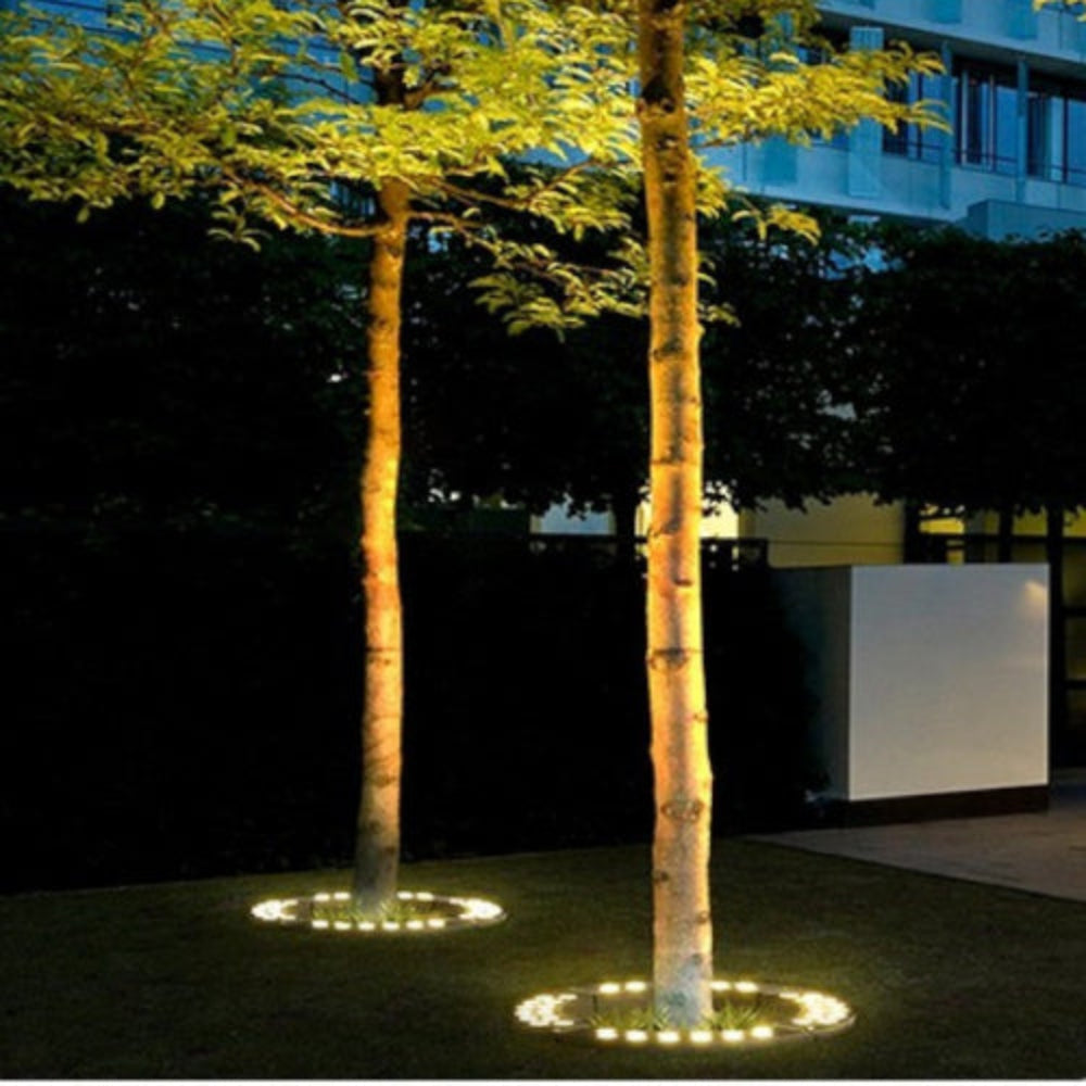 Skorter | Treelighta – Premium LED Tree Spotlight for Elegant Outdoor Lighting