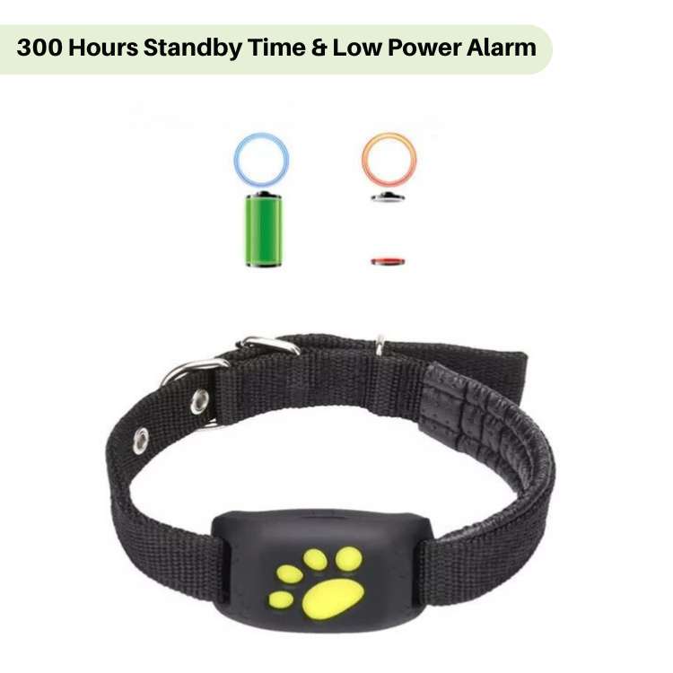 Skorter | #1 Find GPS Cat Tracker with Real-Time Location, Waterproof Design, and Activity Monitoring for Pet Safety and Tracking