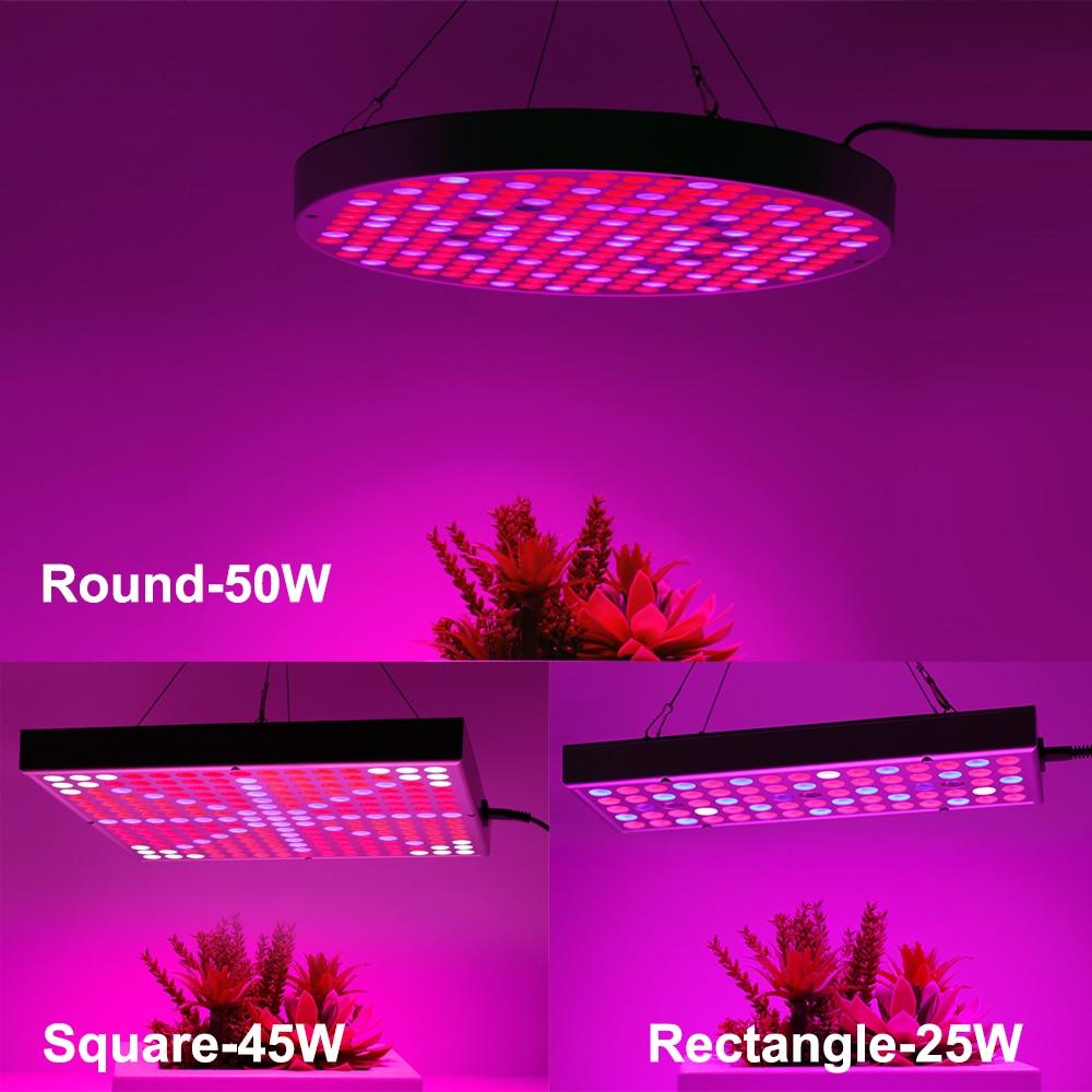 Skorter | Led Grow Lights - Plant Grow Light