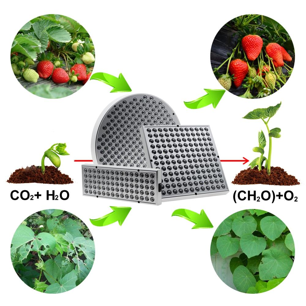 Skorter | Led Grow Lights - Plant Grow Light