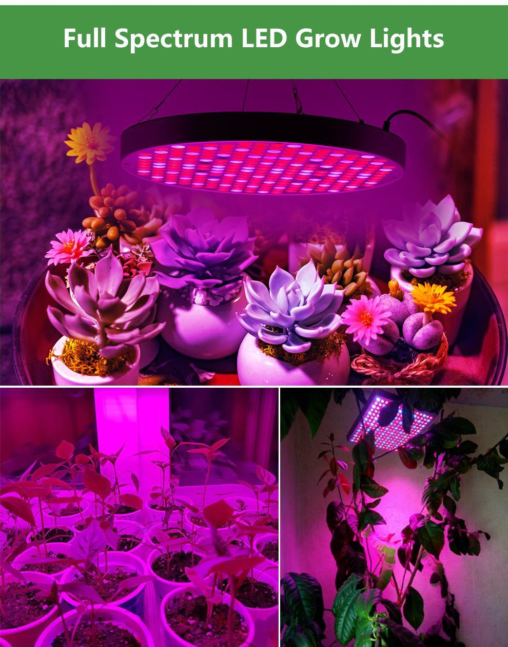 Skorter | Led Grow Lights - Plant Grow Light
