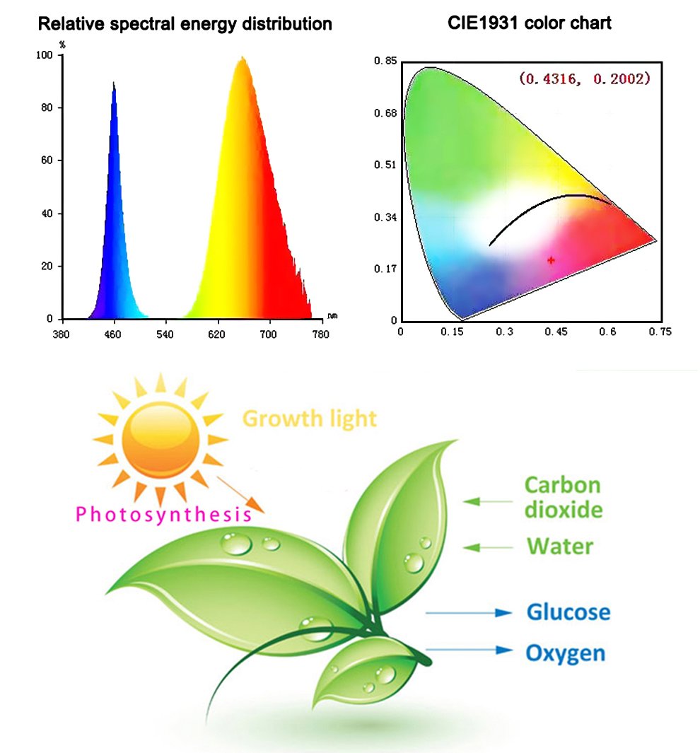 Skorter | Led Grow Lights - Plant Grow Light