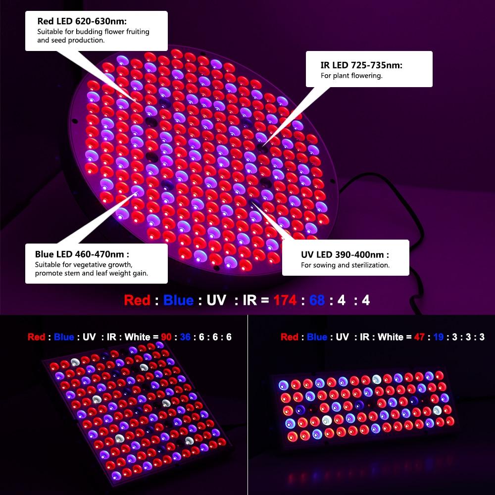 Skorter | Led Grow Lights - Plant Grow Light
