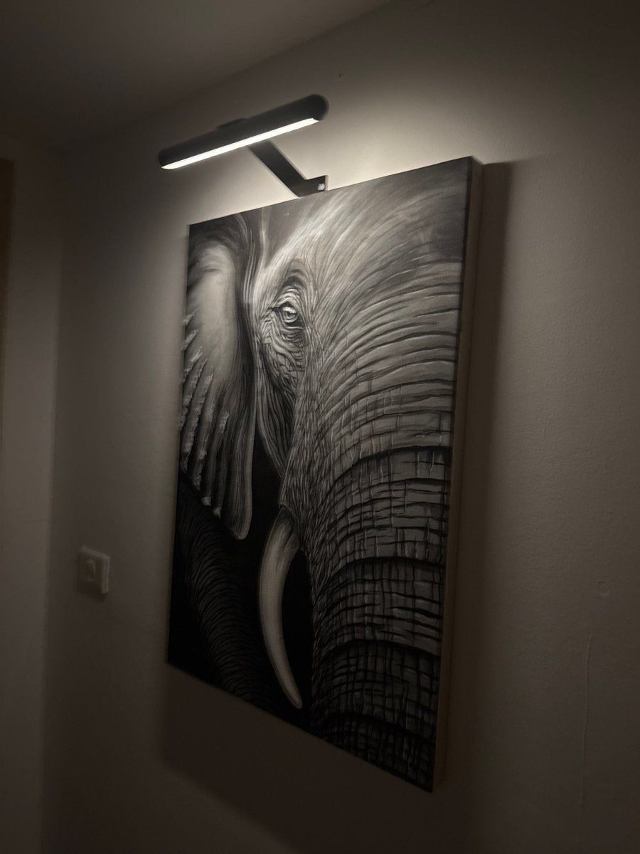 Skorter | ArtGlow LED Wall Lamp – Wireless Lighting for Art and Decoration