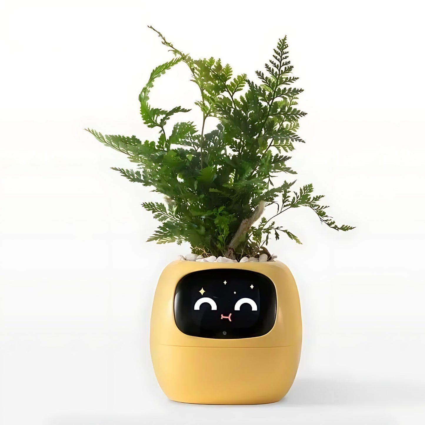 Skorter | Automatic Smart Flowerpot - GreenBuddy SmartPot