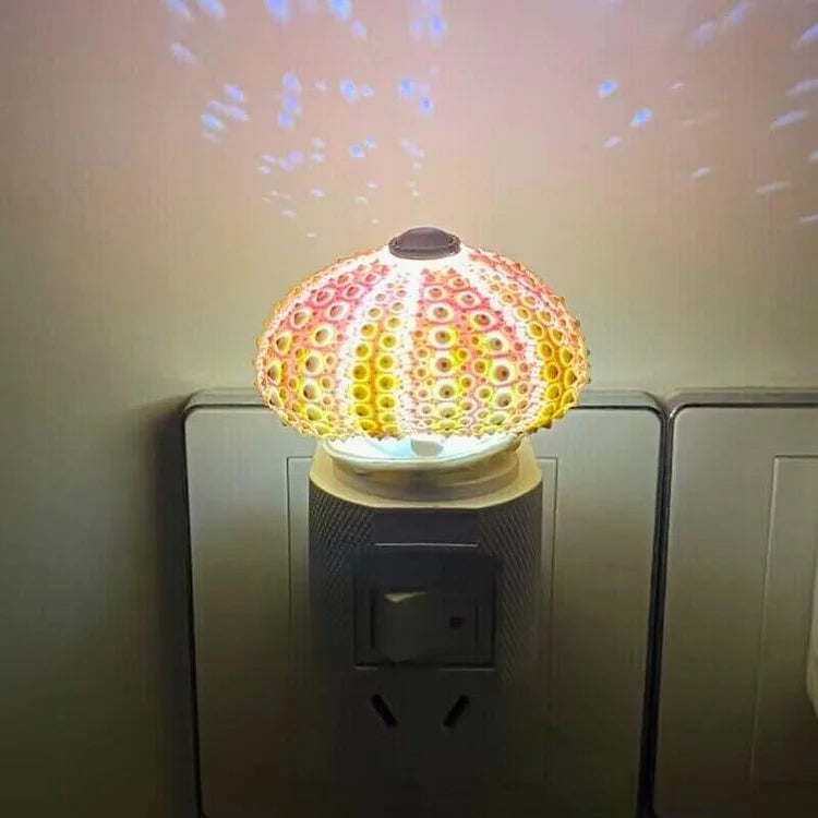 Skorter | LumiCraft – Unique DIY table lamp with natural sea shell for a cozy décor
