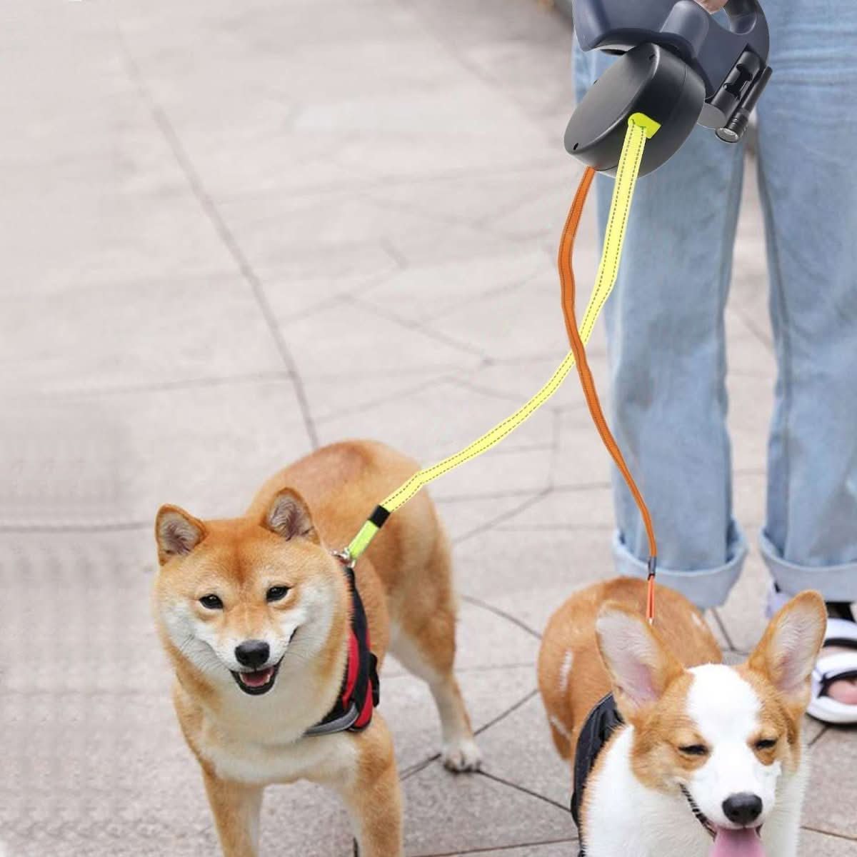 Skorter | PROPET DUO – Retractable leash for two dogs with LED light for safe walks