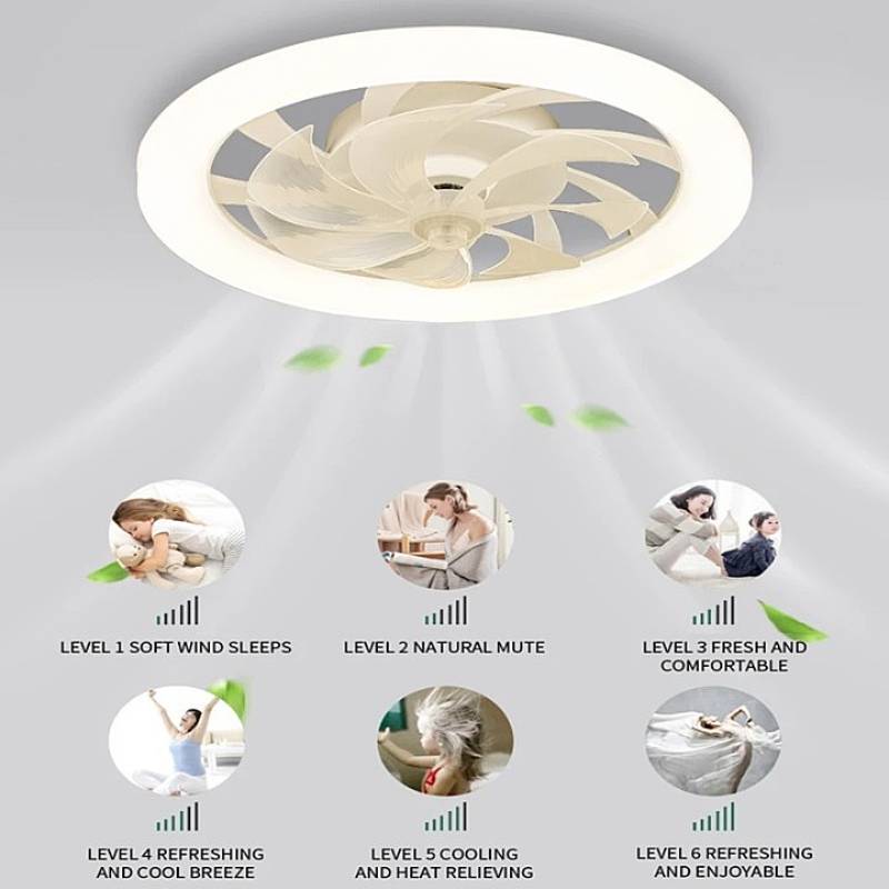 Skorter | Modern Ceiling Fan with LED Lights