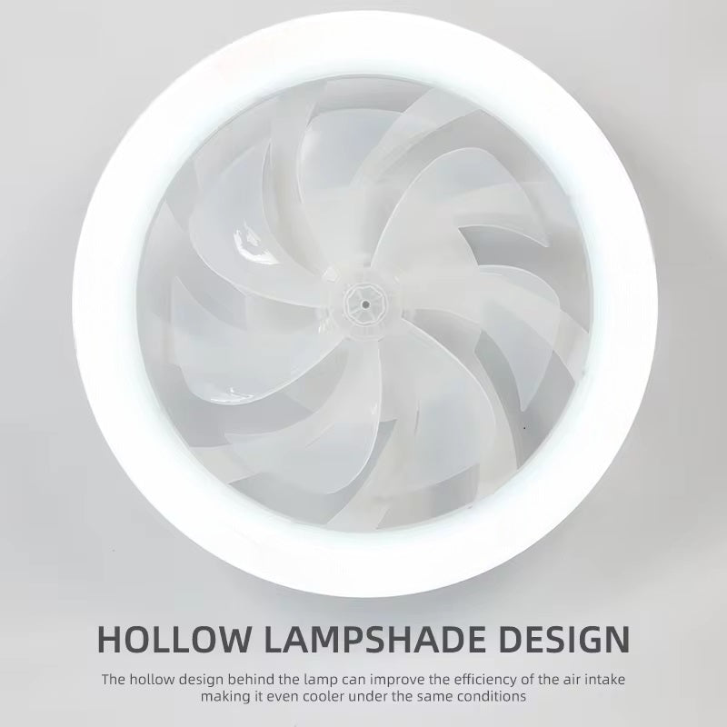 Skorter | Modern Ceiling Fan with LED Lights