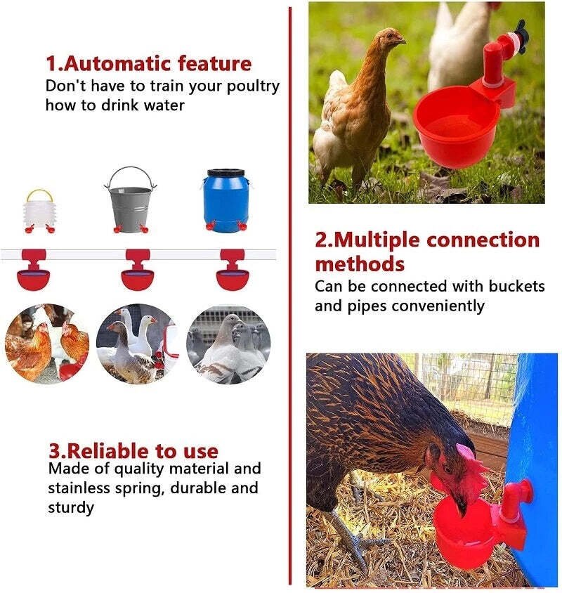 Skorter | Automatic Chicken Water Cup Bird Coop