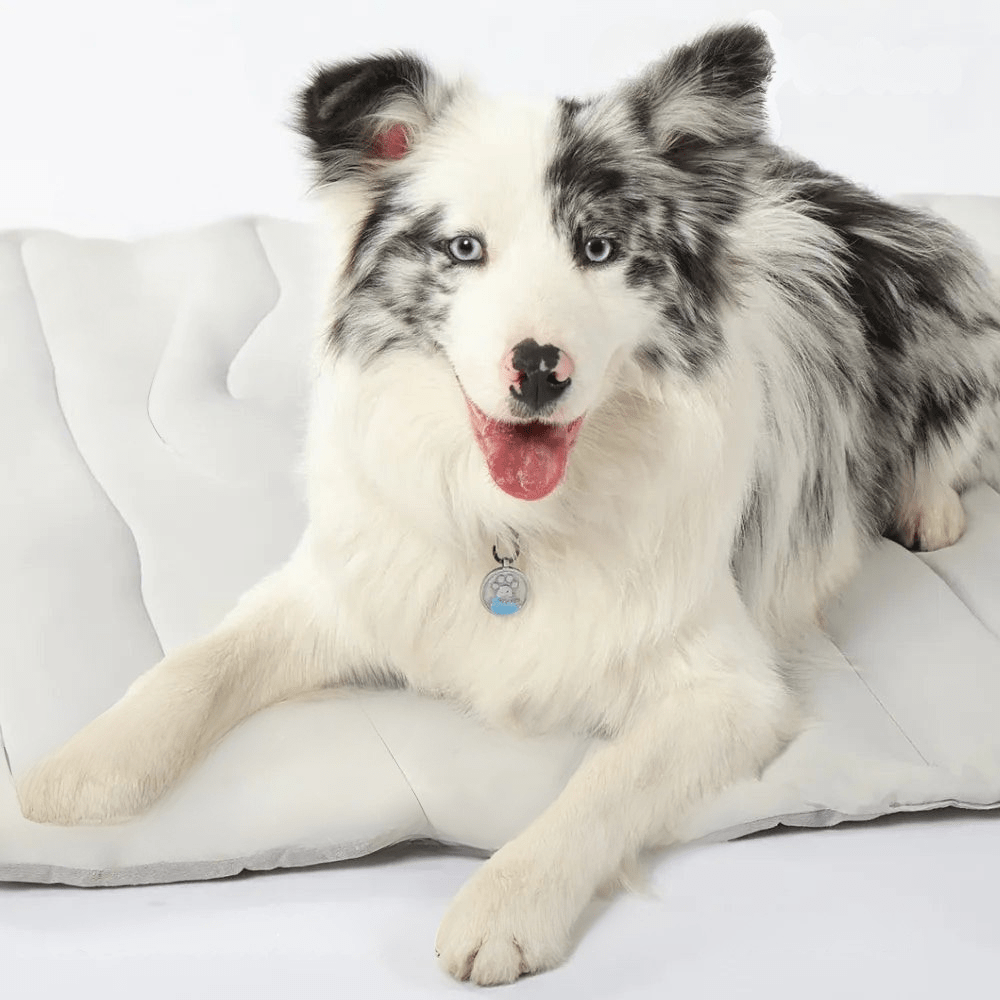 Skorter | CoolPaws Cooling Mat – Self-Cooling Dog Mat for Hot Summer Relief