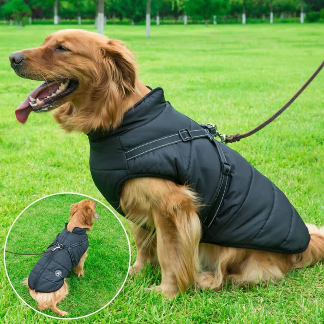Skorter | Cozybuddy | Waterproof Winter Jacket + Built-in Suspenders