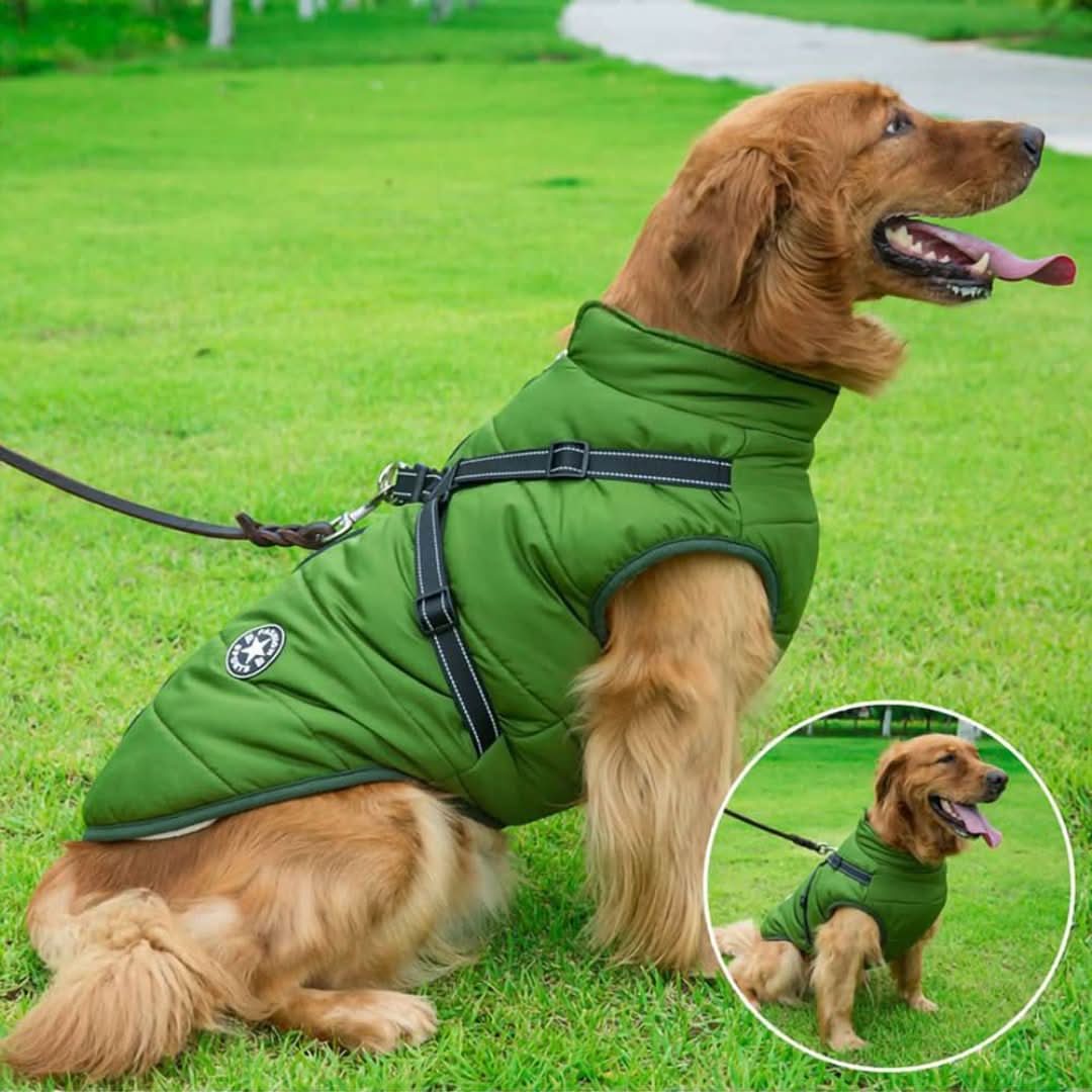 Skorter | Cozybuddy | Waterproof Winter Jacket + Built-in Suspenders