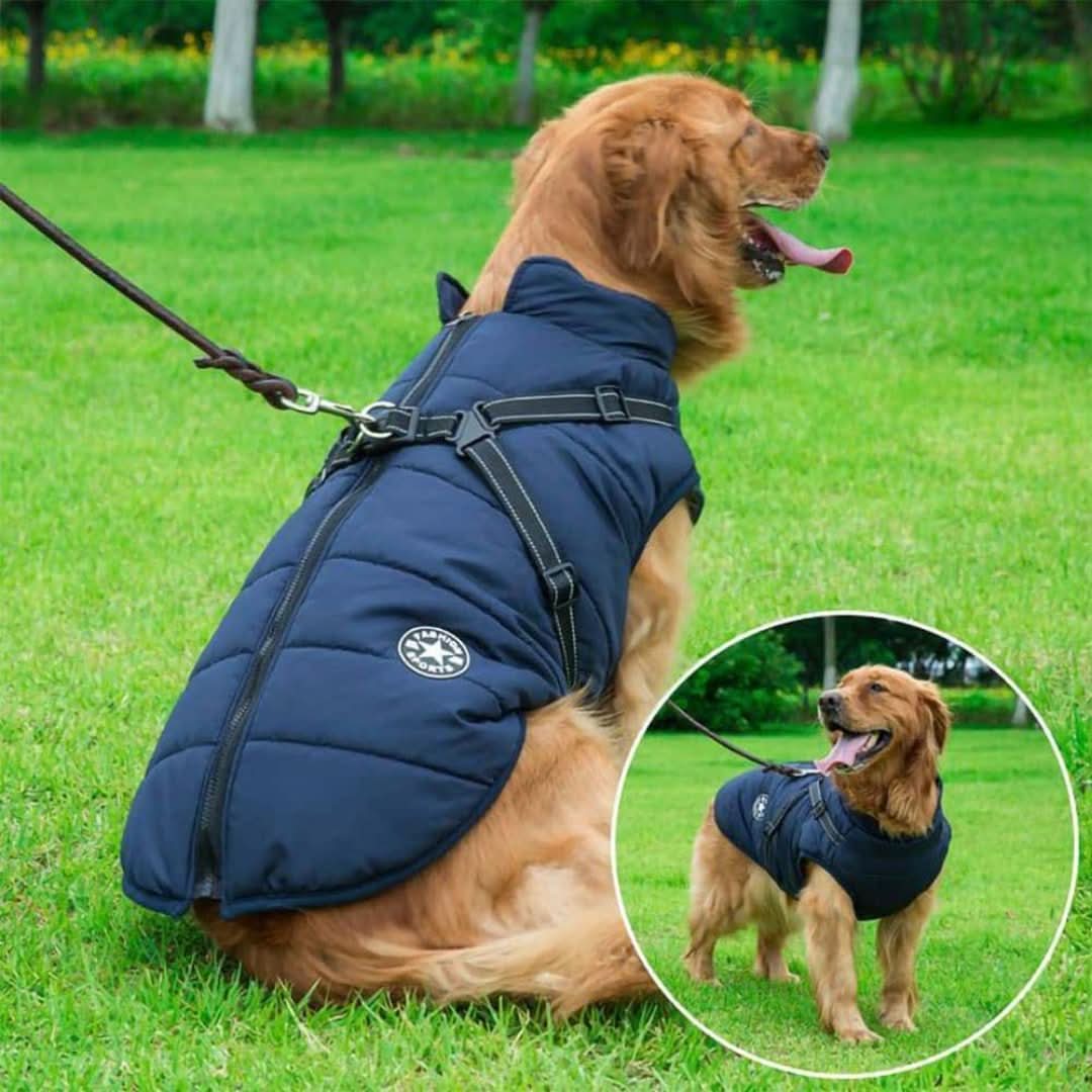 Skorter | Cozybuddy | Waterproof Winter Jacket + Built-in Suspenders