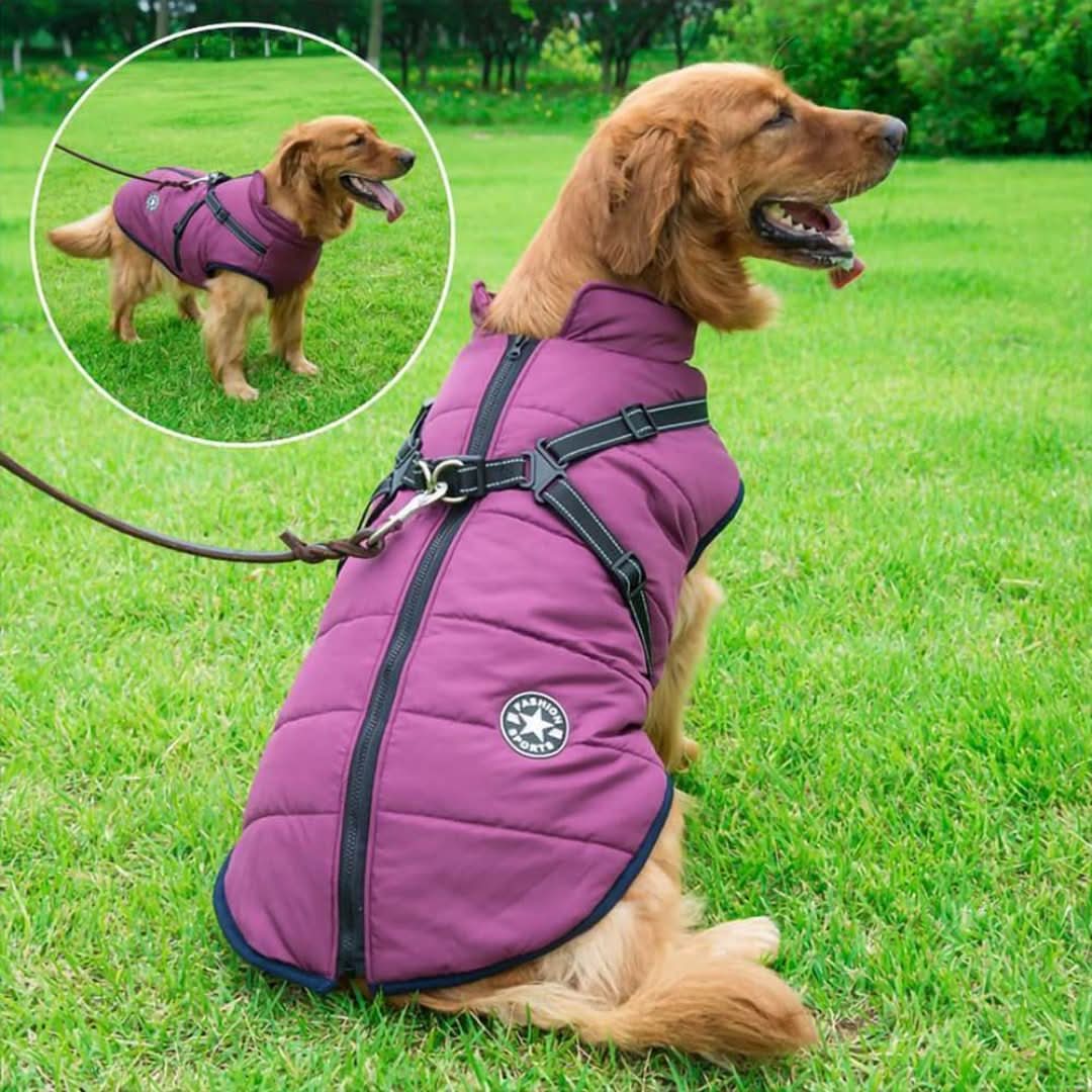 Skorter | Cozybuddy | Waterproof Winter Jacket + Built-in Suspenders