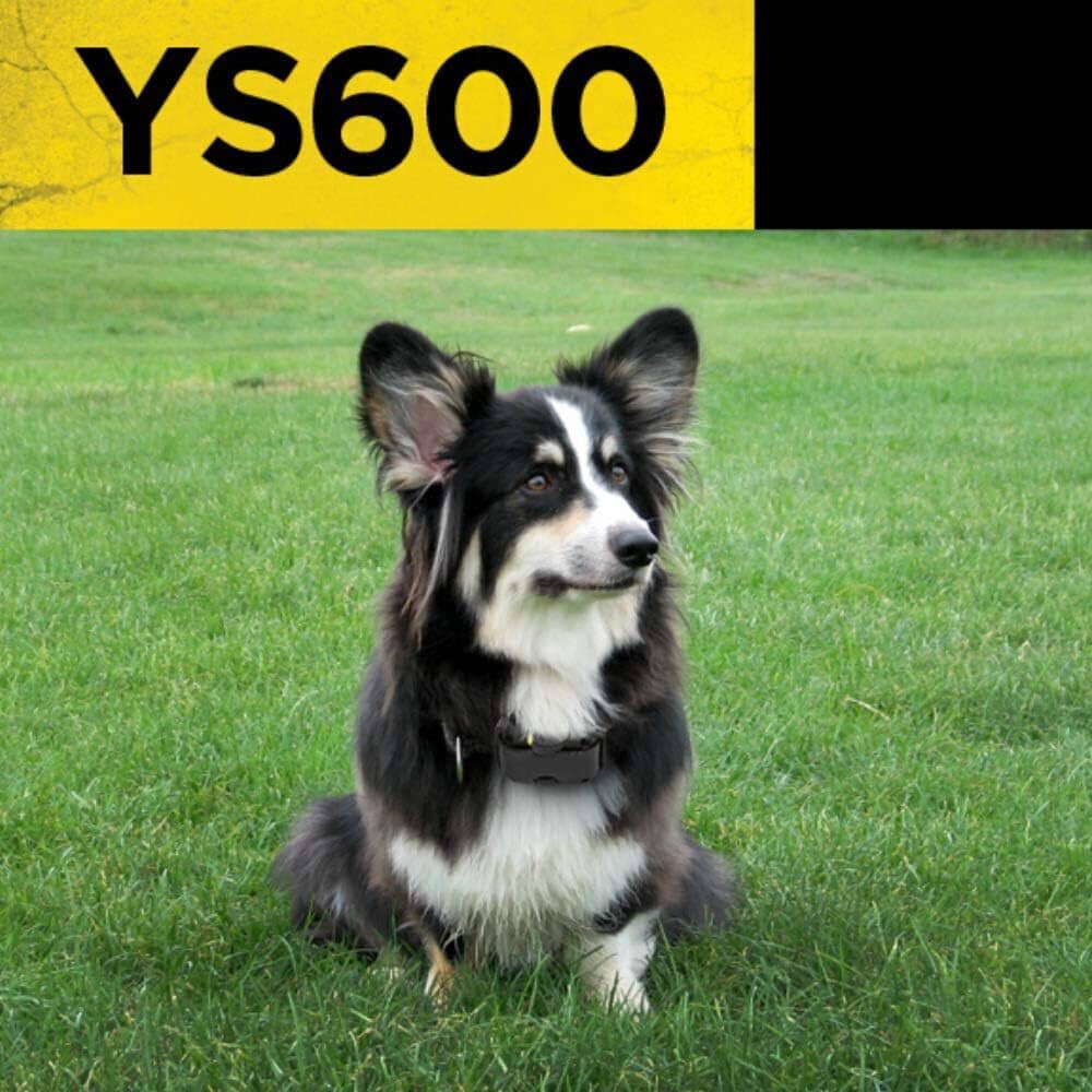 Skorter | Dogtra YS600 No Bark Collar (Refurbished)