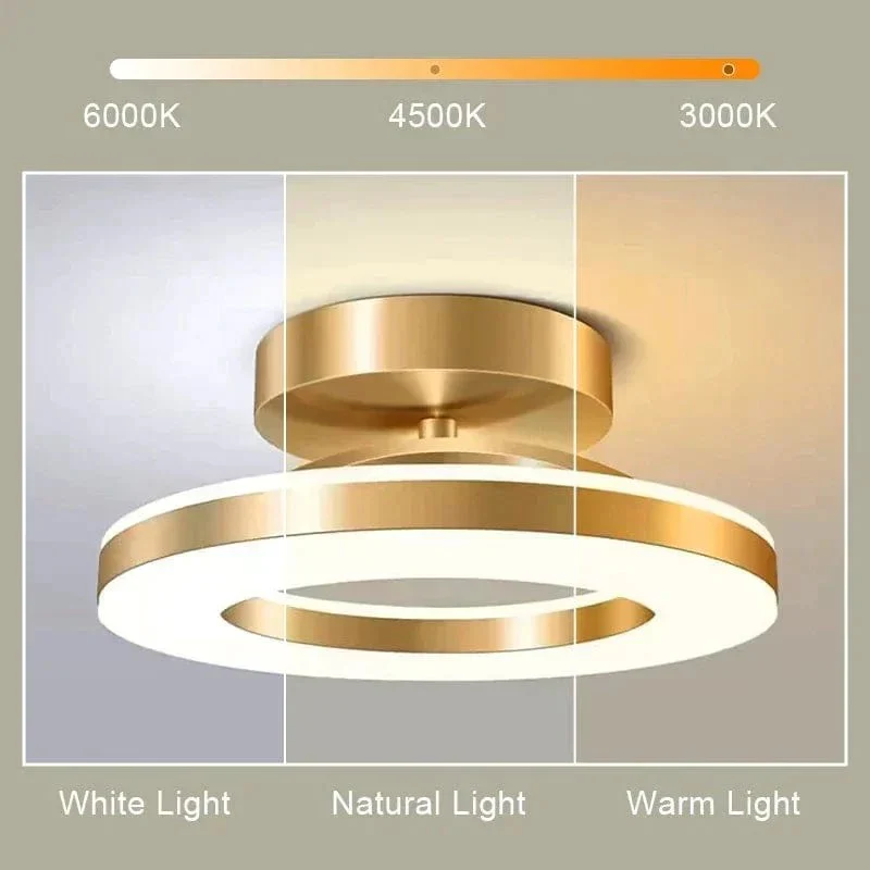 Skorter | LED Ceiling Light Fixture